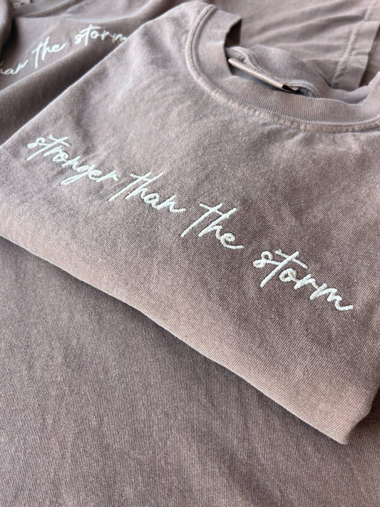 Stronger Than The Storm